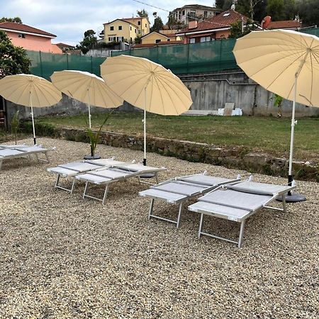 Il Gattino Di Porto - Apt 3 - Monolocale Veranda Piscina Imperia Kültér fotó